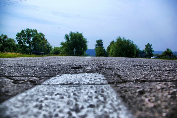 Asphalt among nature