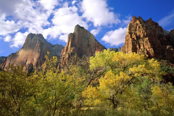 Zion National Park und außergewöhnliche wolken