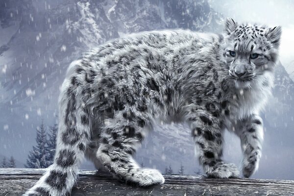 Snow leopard. Wild animals