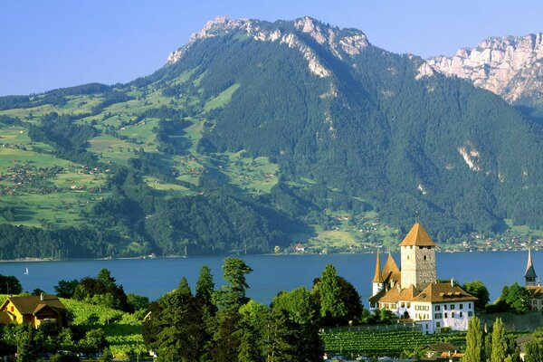 Swiss mountains, lake shore castle