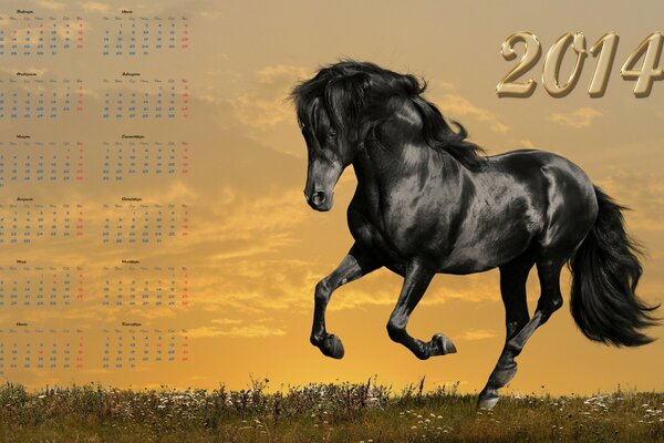 2014 calendar with a running horse