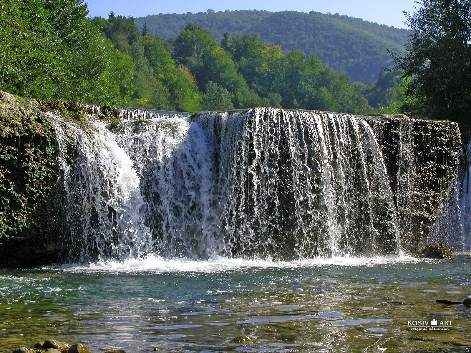 wald wasserfall bäume