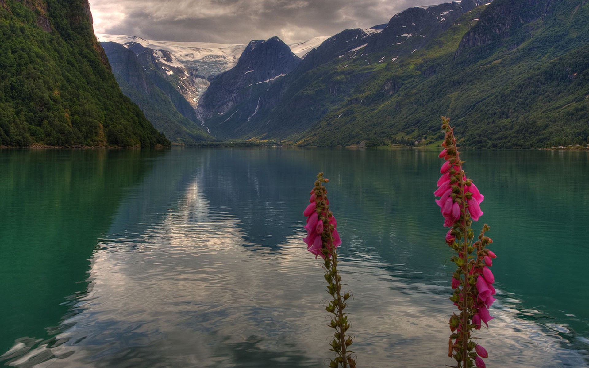 norwegen oldedal tal stryn blumen