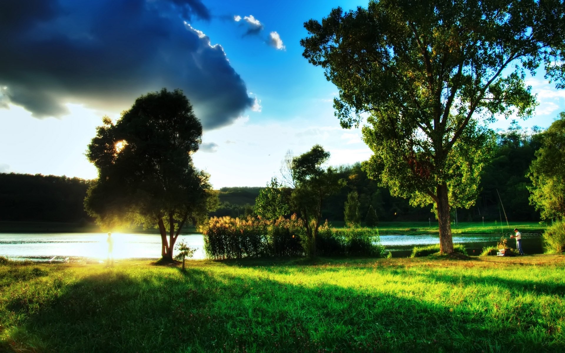 lac herbe arbre soirée