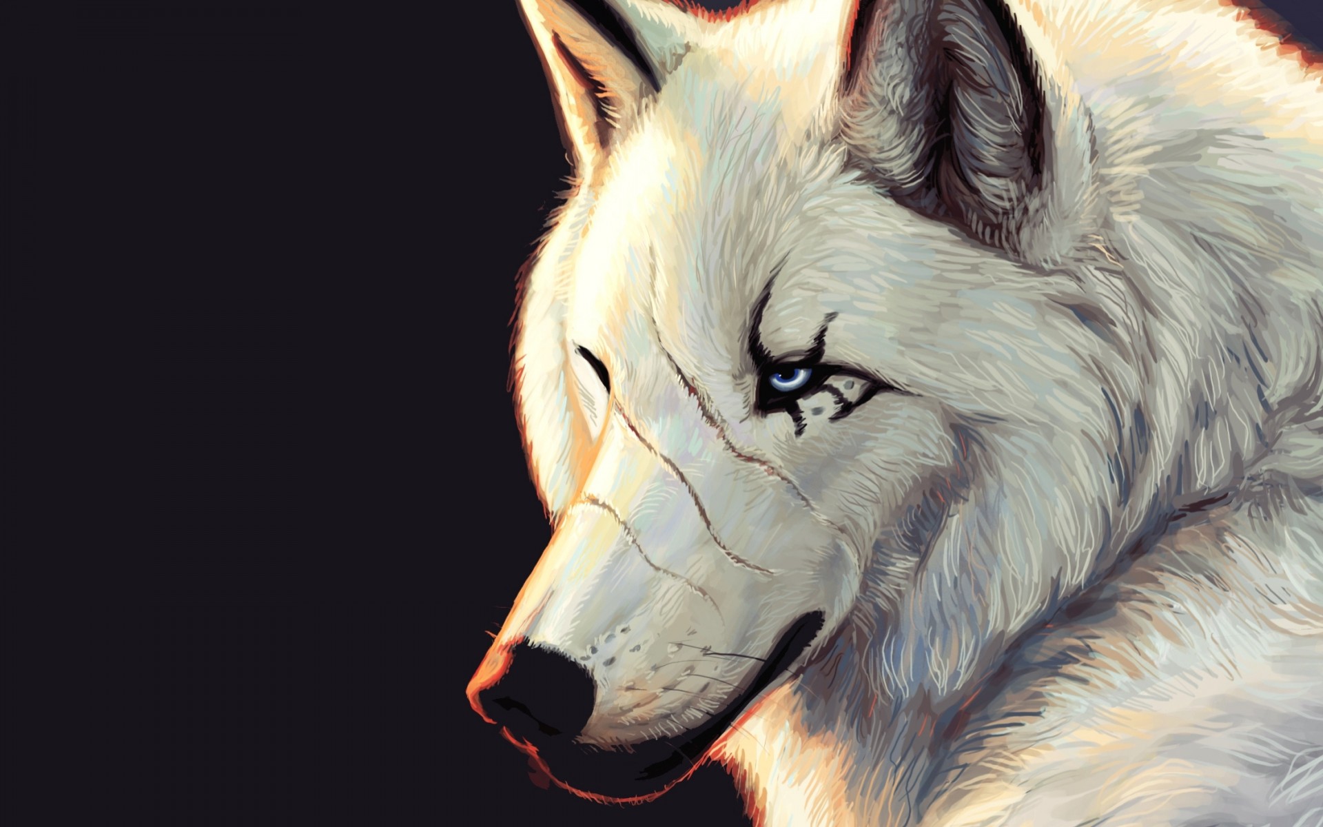 wolf scars blue eyes black background white