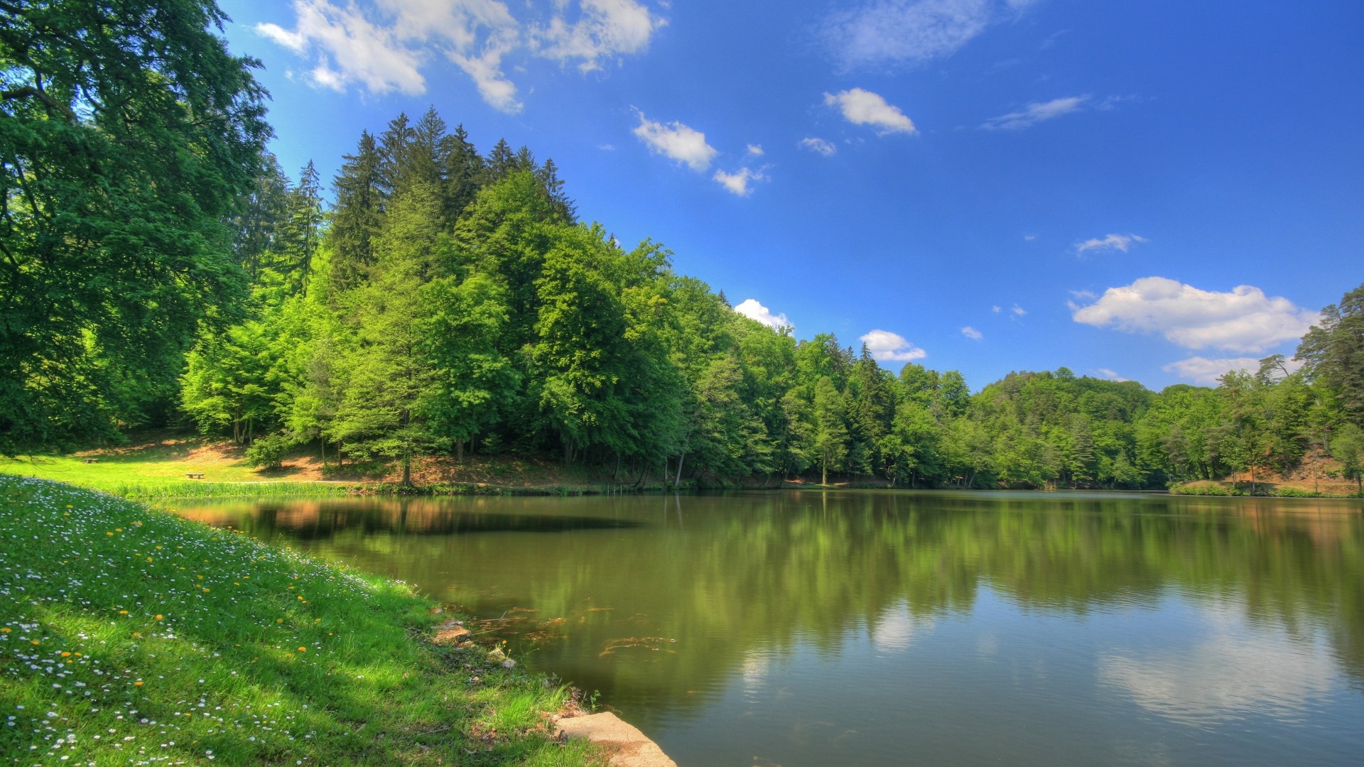 river pond summer