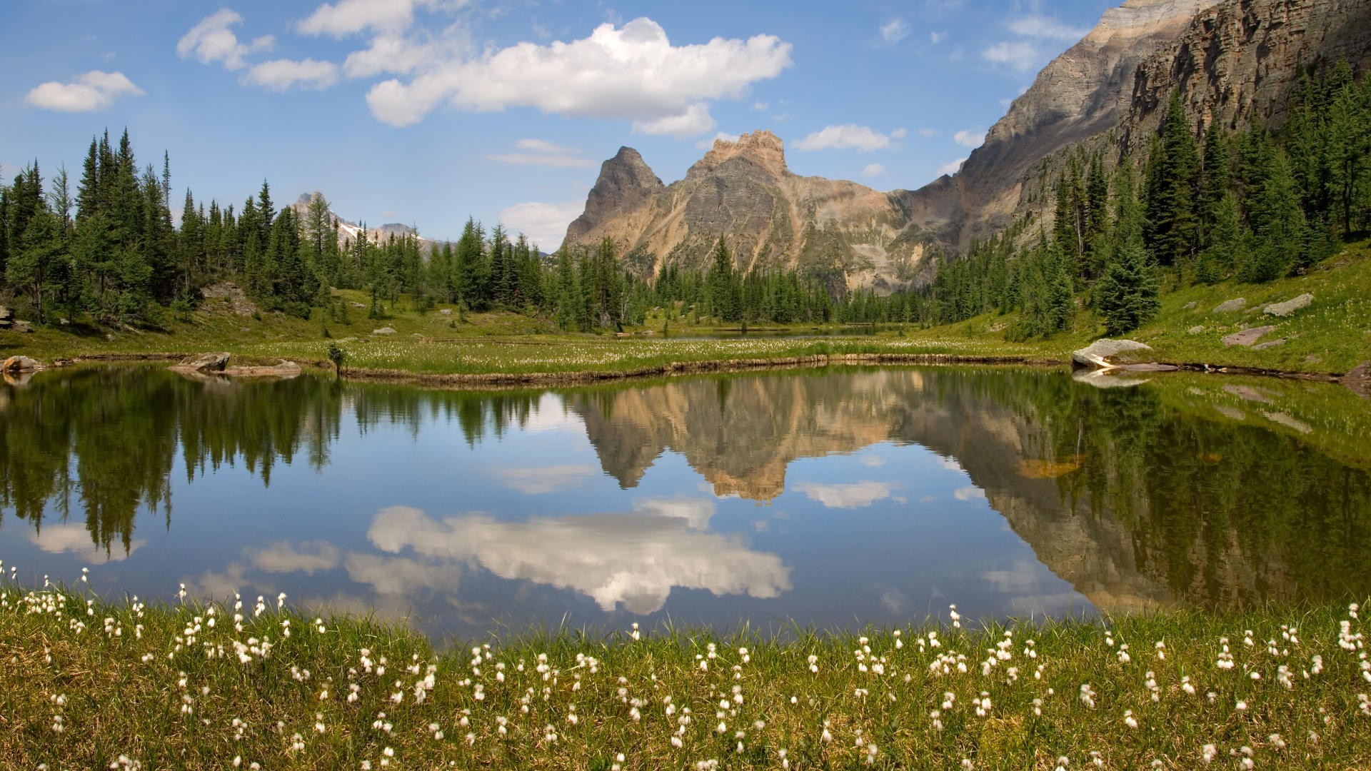 british columbia canada montagne