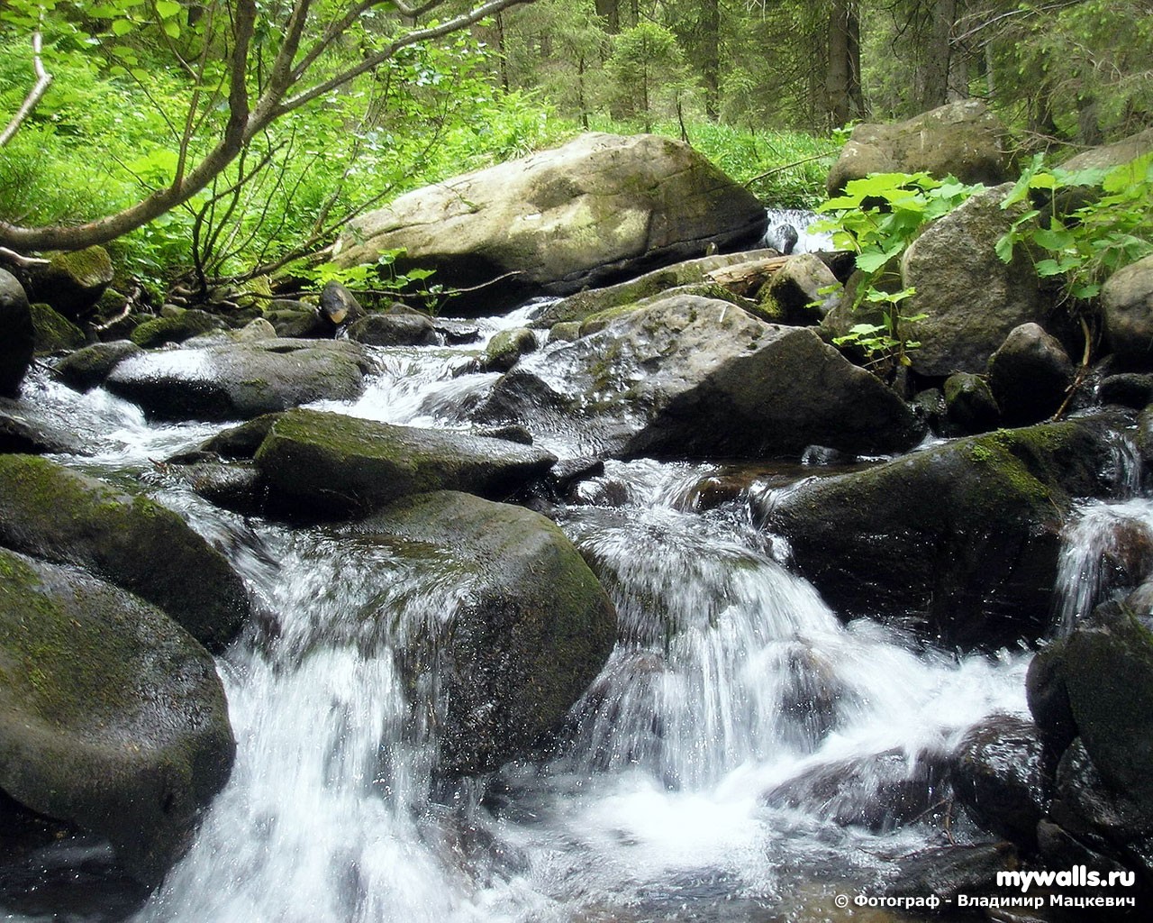 cascade pierres nature