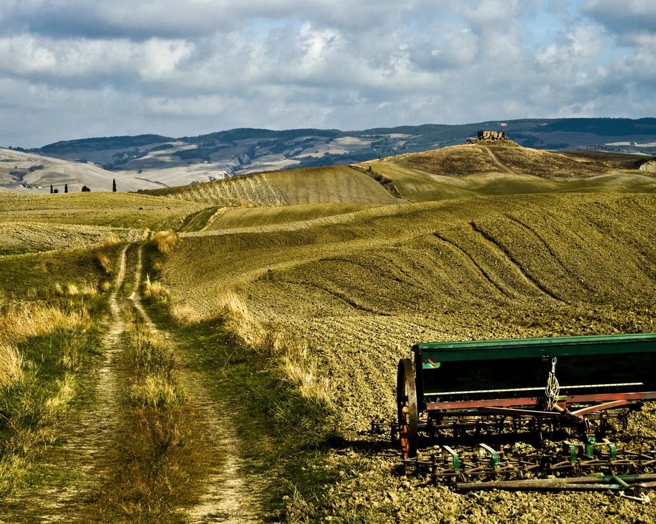 italien sommer acker