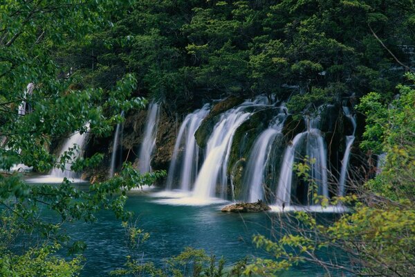 Cascades et lac parmi le feuillage juteux