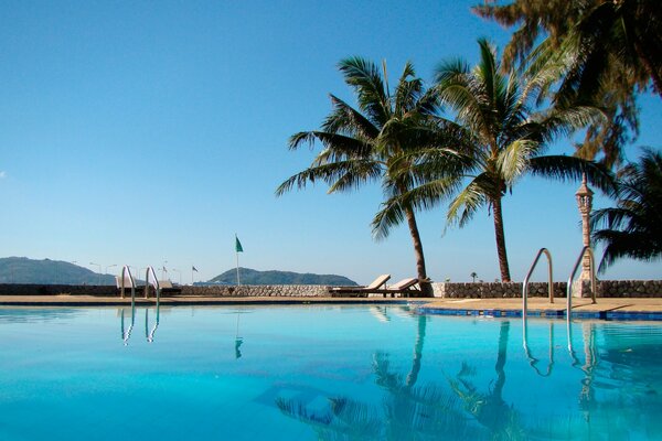 Pool mit Palmen am blauen Himmelshintergrund