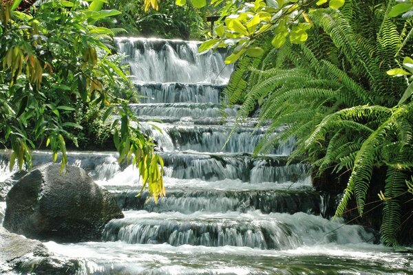 Wasserfall. kaskade inmitten von rotem Grün