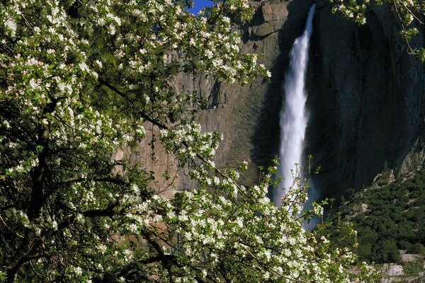 Cascata di primavera sulla roccia in estate