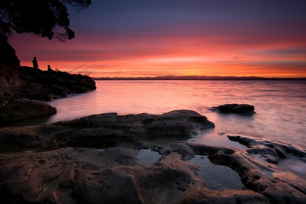 Coyle Park au coucher du soleil en nouvelle-Zélande