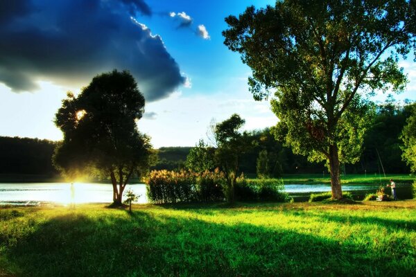 Cozy lake shore with a clearing