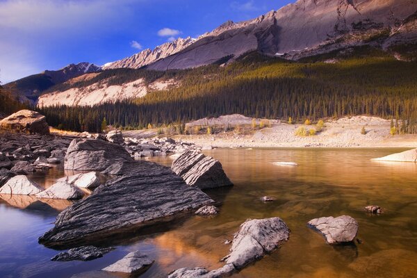 Góry kanadyjskie z roślinnością i zbiornikami wodnymi na pierwszym planie