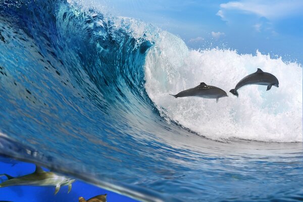 Dolphins jump out of the waves in the ocean