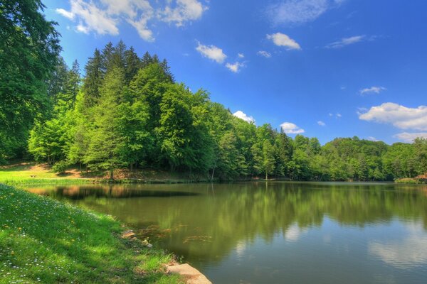 Landschaft der sommerlichen Natur am Fluss