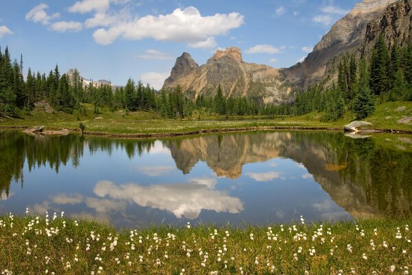 Lago en un valle de montaña. paisaje