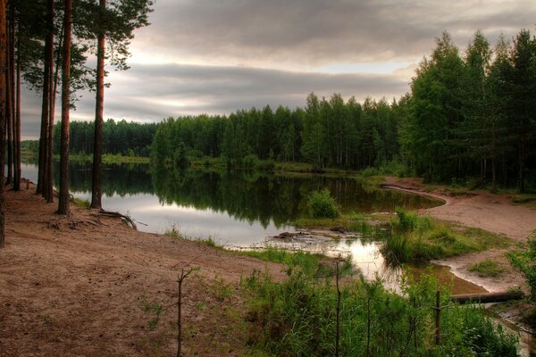 Ein Teich mitten im Wald mit grauem Himmel