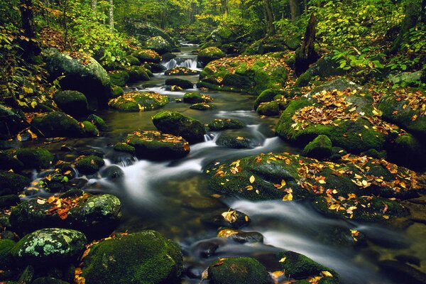 Ein Wasserstrom, der durch die Steine fließt