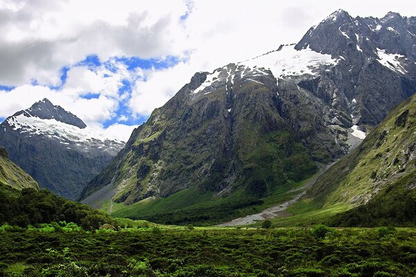 Snow-capped mountains and green grass