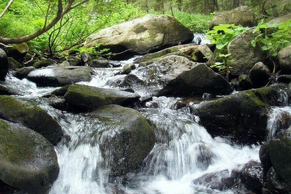 Waterfall among rocks in nature