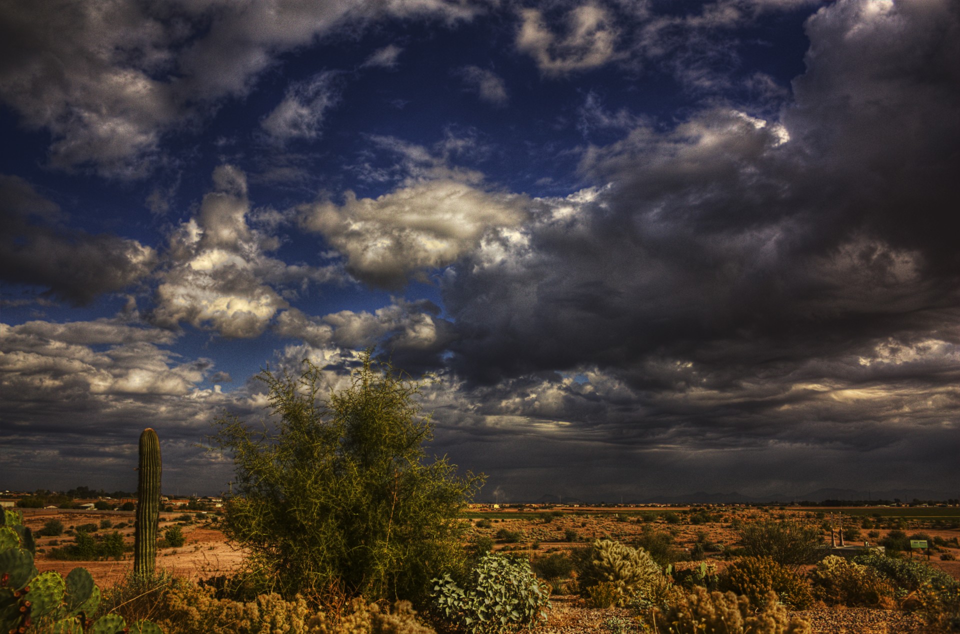 mexique cactus orage