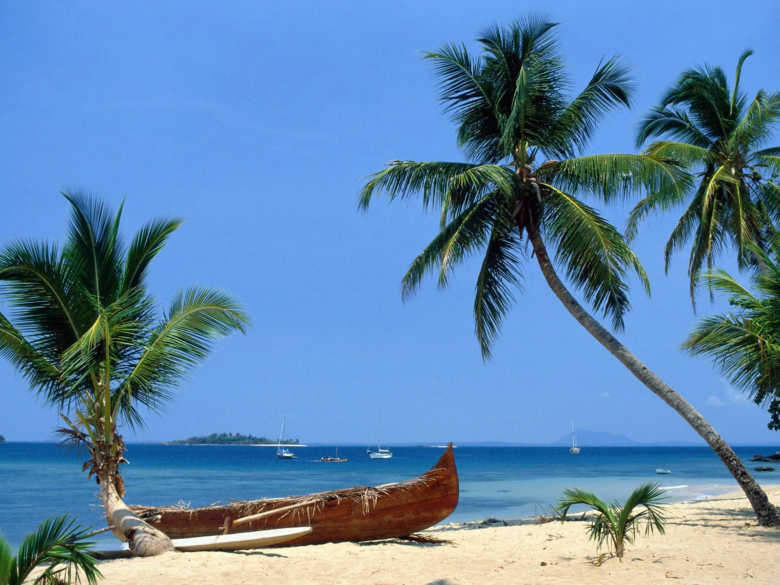 mer soleil sable paradis palmier ciel bateau