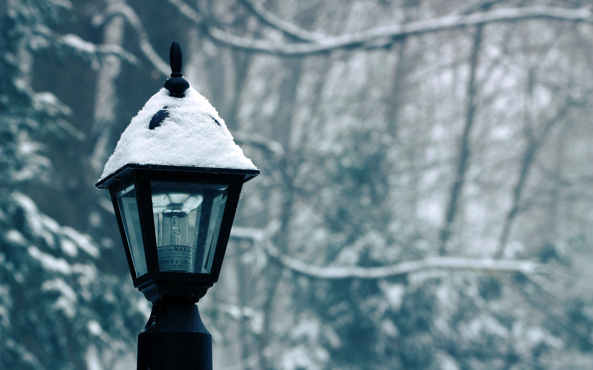 winter snow lantern light bulb