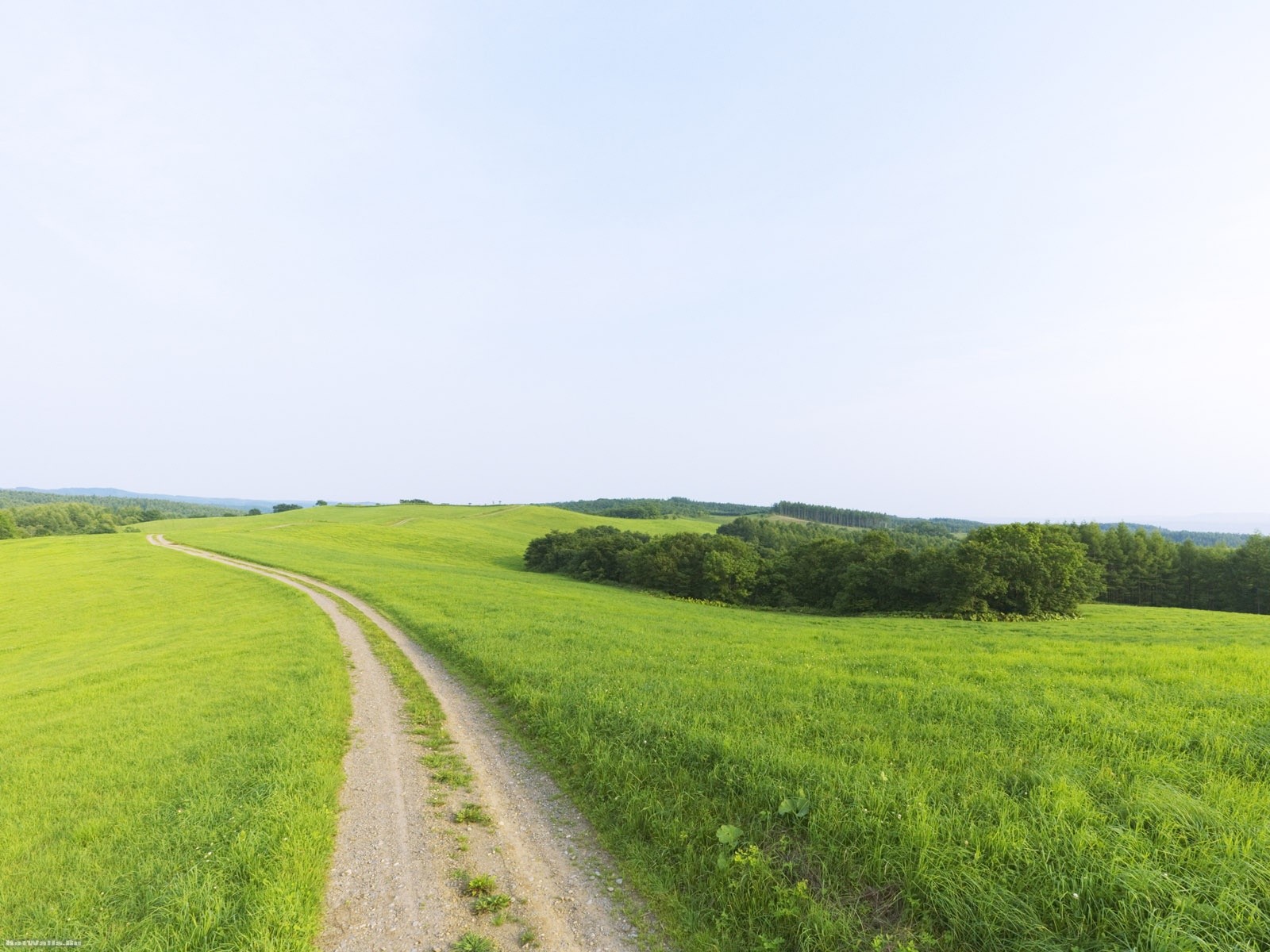 strada bellezza distanza orizzonte verde