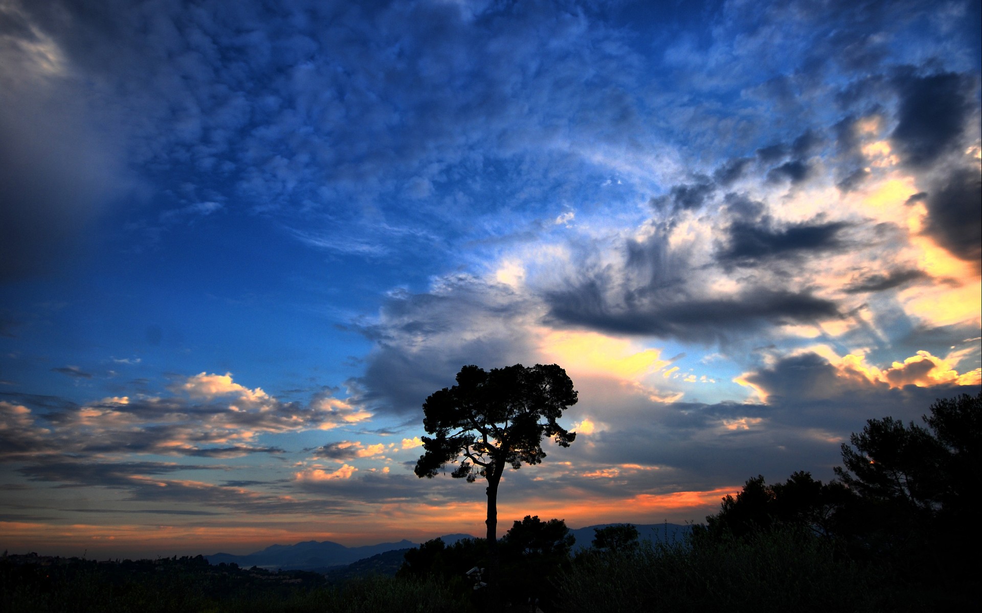 albero cielo nuvole