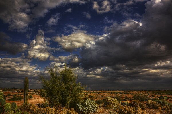 Temporale incombente nel deserto con cactus