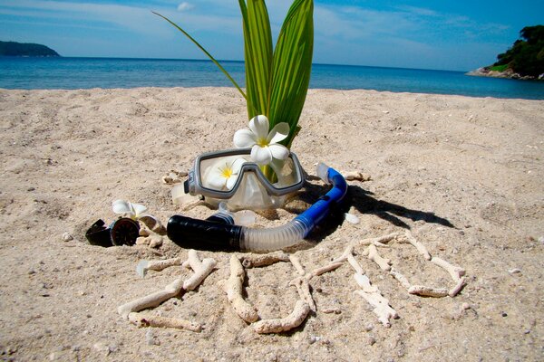 Plage masque tuba corail