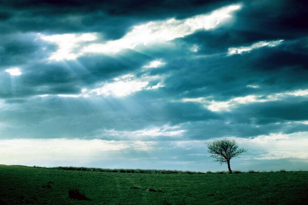 Rays break through dense clouds