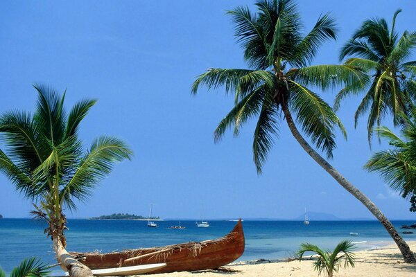 Boat on the sea beach among palm trees