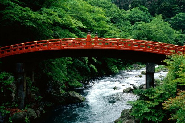 Puente japonés sobre el río