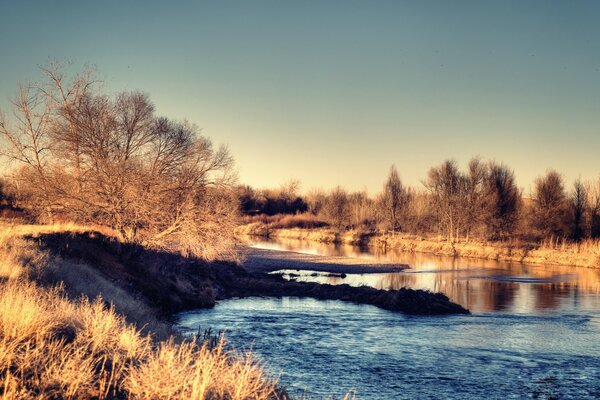 Dawn in the forest on the river bank