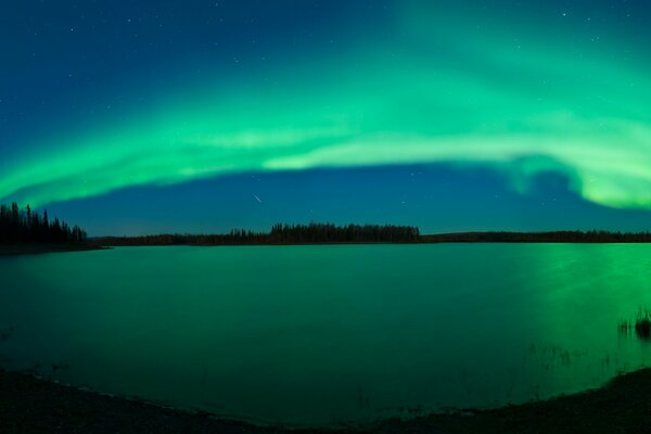 Brillante Aurora boreal verde sobre un lago en el bosque