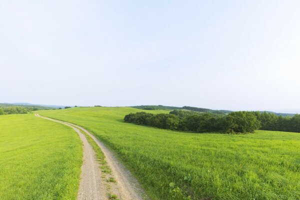 Route partant au loin au milieu d un champ vert