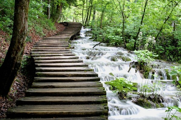 Wooden path on the background of a stream of water