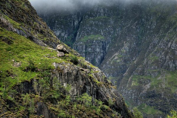 Vista de pájaro de los fiordos