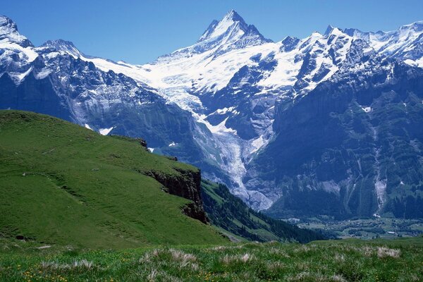 Falaise verte sur fond de montagnes enneigées