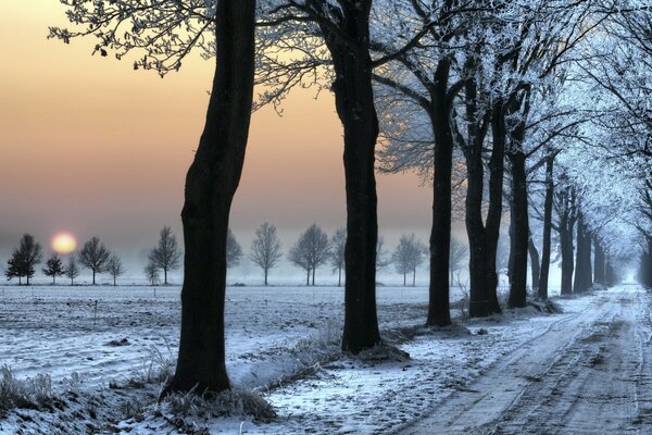 Pistas de nieve en la carretera de invierno