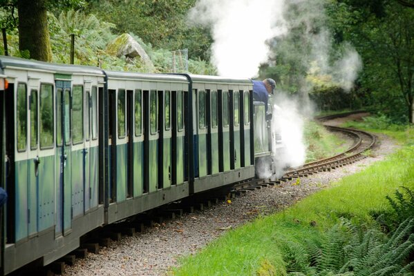 Forest Road Train in Scotland