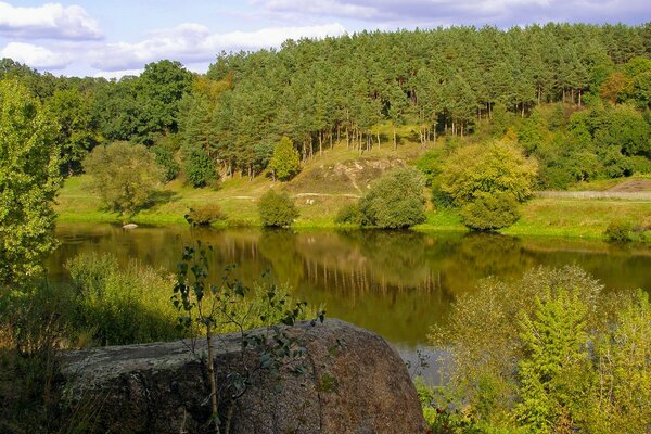 Forest river in summer with a stone on the shore