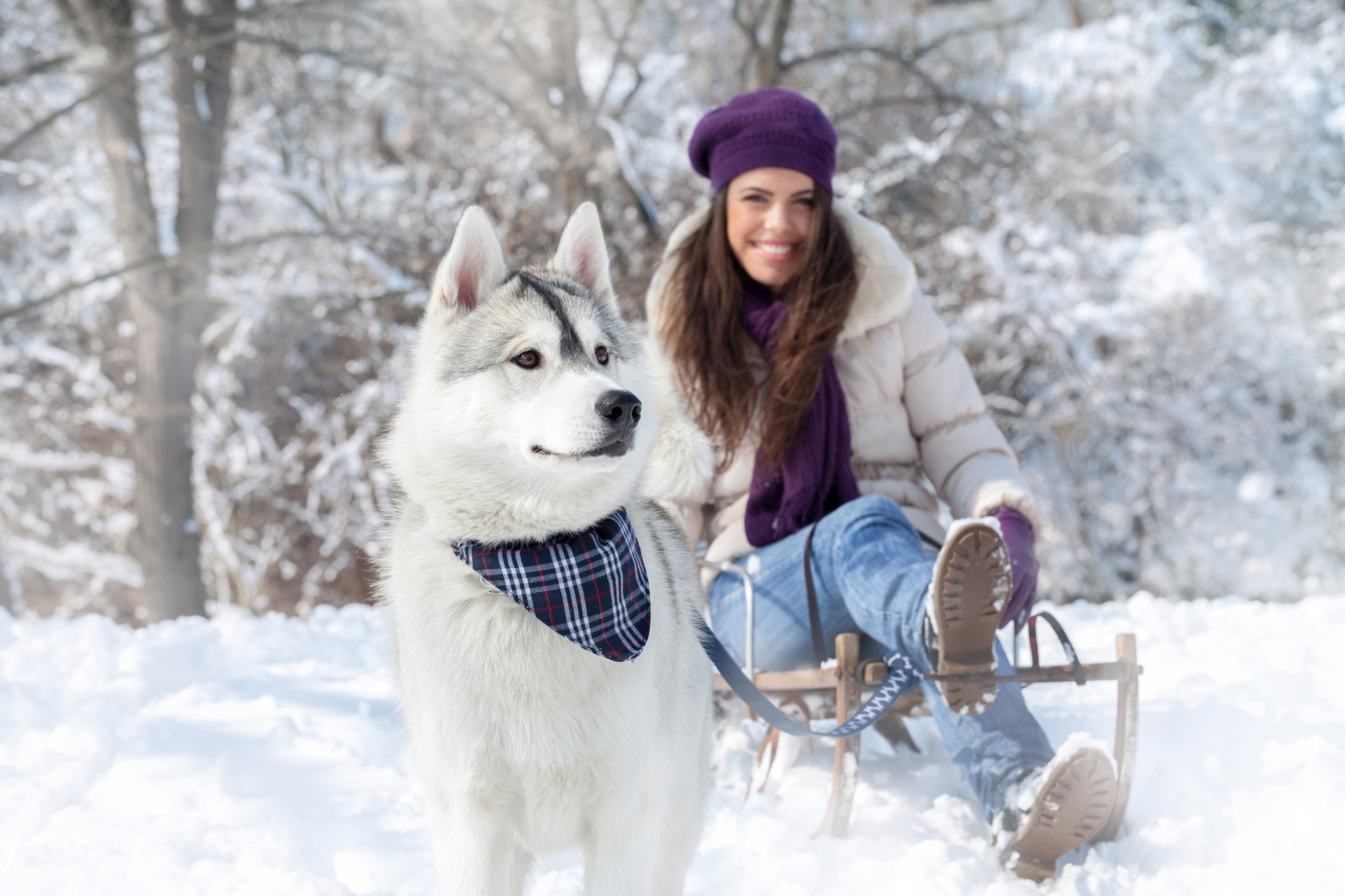 winter mädchen schnee hunde natur