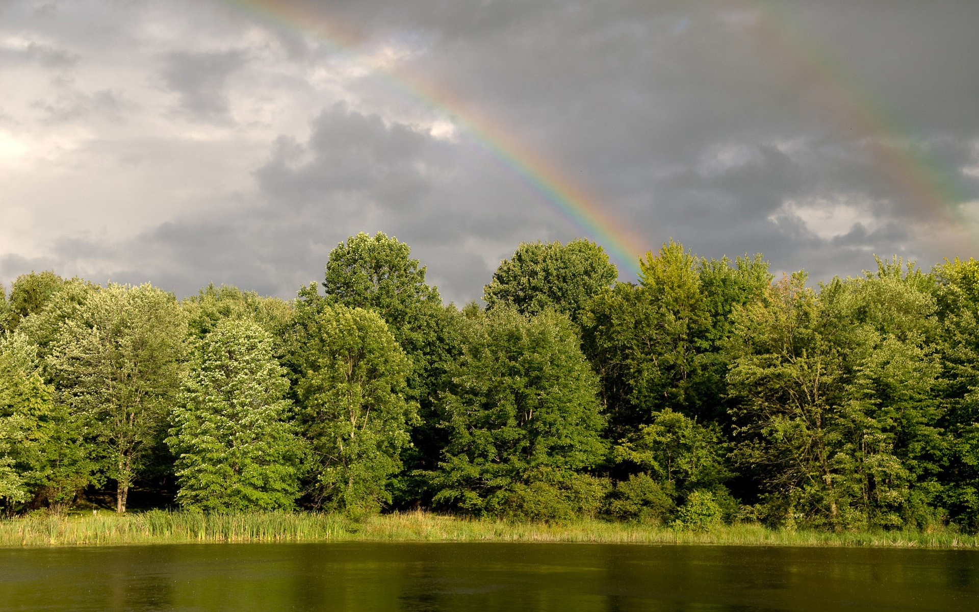 rainbow forest river water green