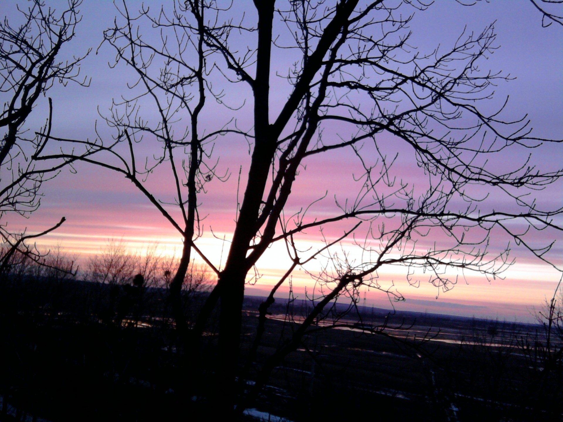 sonnenuntergang baum himmel