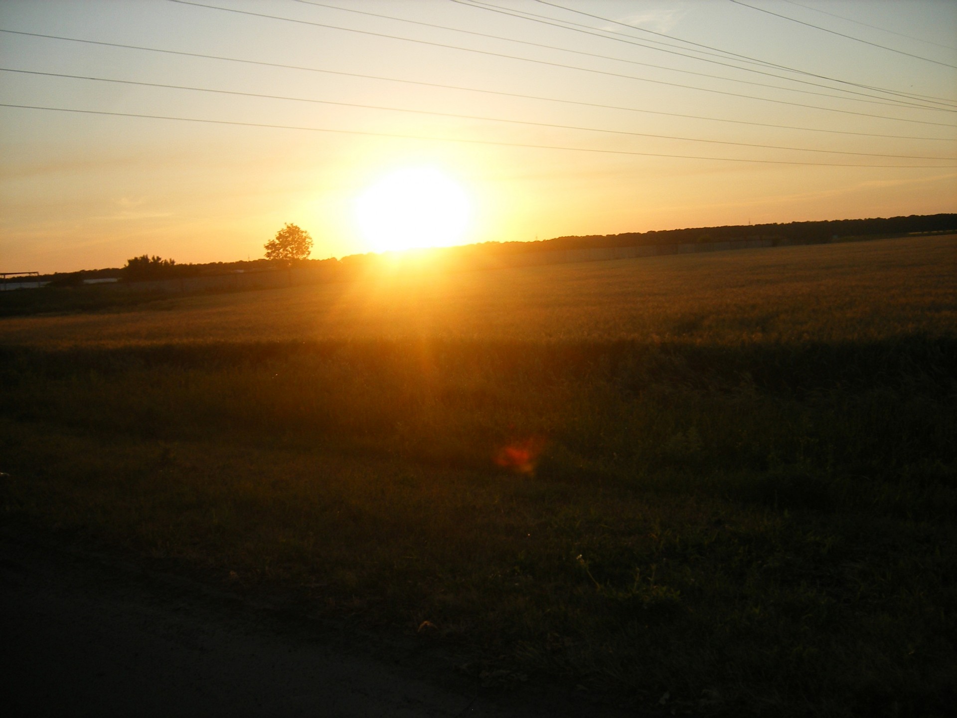 sonne dämmerung feld himmel drähte